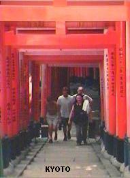 Kyoto toriis